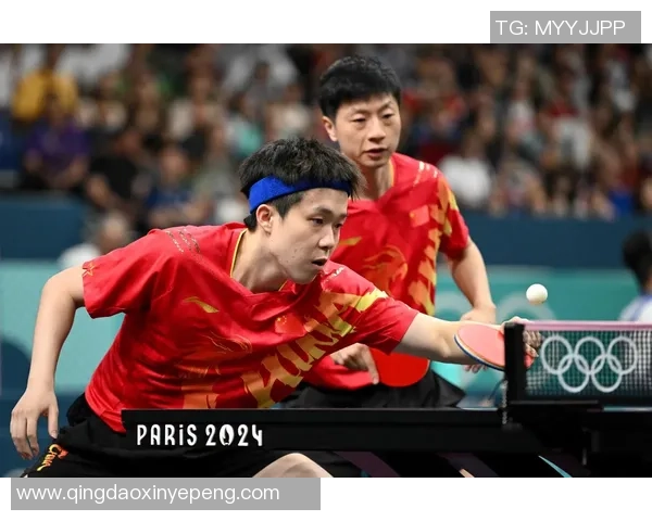 南京乒乓球队个人能力深度解析与发展潜力探讨